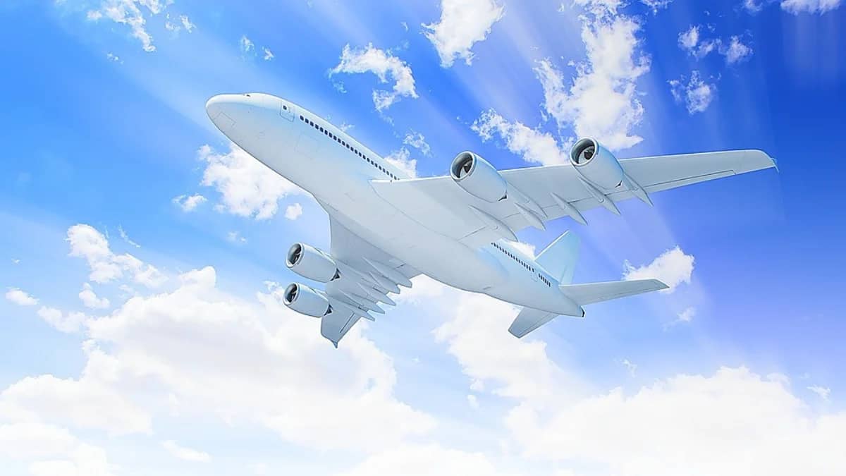 Types of Visitor Insurance: Comprehensive & Limited Benefit Plan