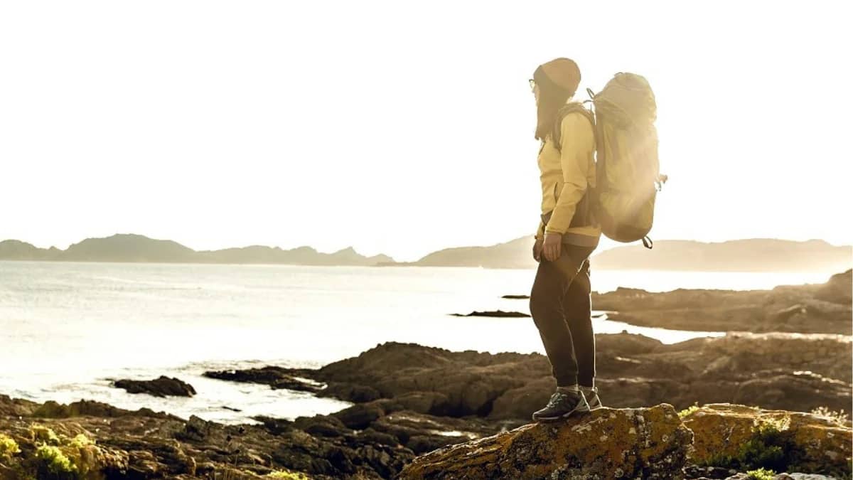 Visitors Care Vs. Safe Travels Elite: A Detailed Comparison