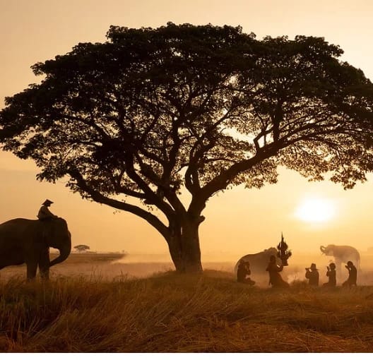 Travel Insurance for Thailand
