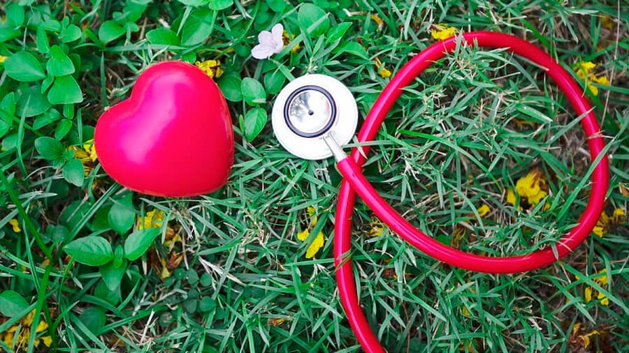 Emergency Healthcare Abroad: Medicare, Medicaid, and Visitor Insurance Coverage Compared