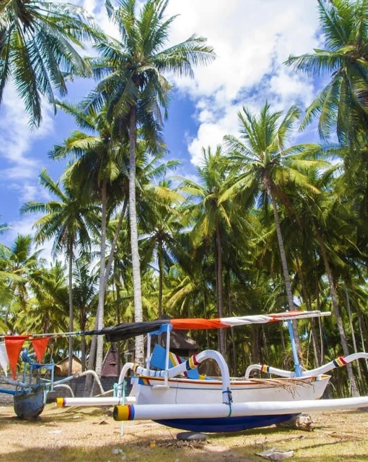 Bermuda Travel Insurance cost