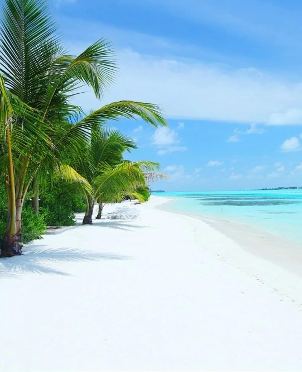 Best Cayman Islands Travel Insurance Plans