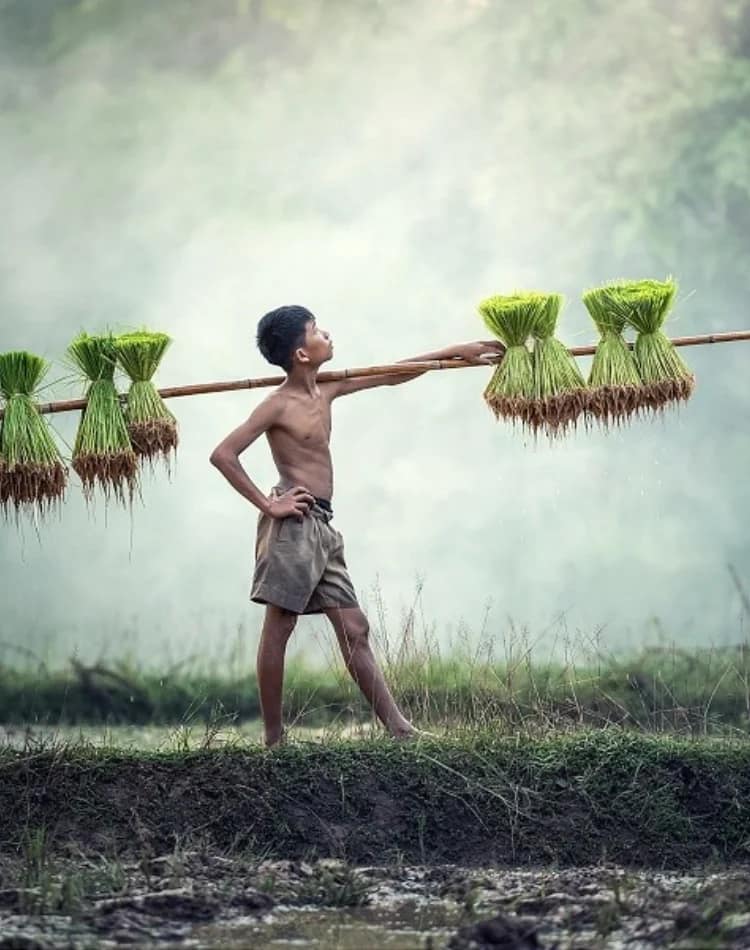 Chile Travel Insurance Cost