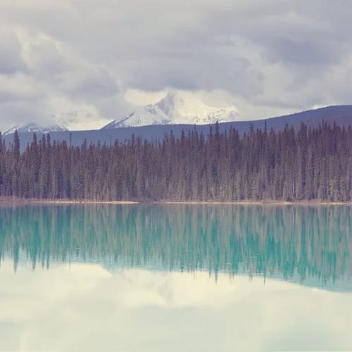 Travel Restrictions to the US from Israel