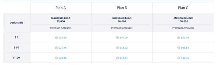 how much does Visitor Health Insurance Cost