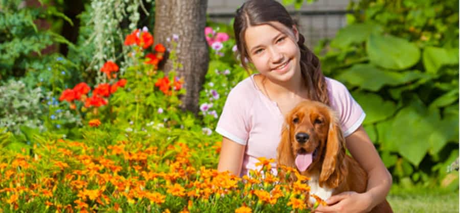 travel insurance for Voluntourism